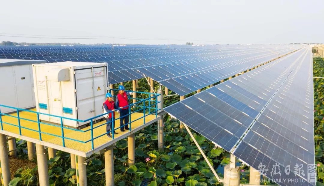 为什么是安徽寿县,南京为什么是安徽的