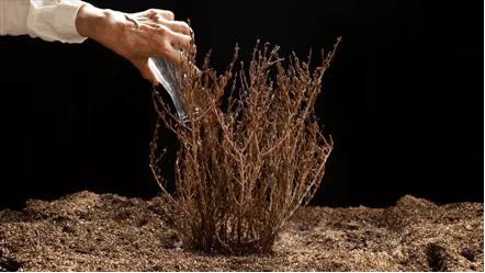 4款好用的贵妇面霜测评,2023贵妇面霜测评排行榜