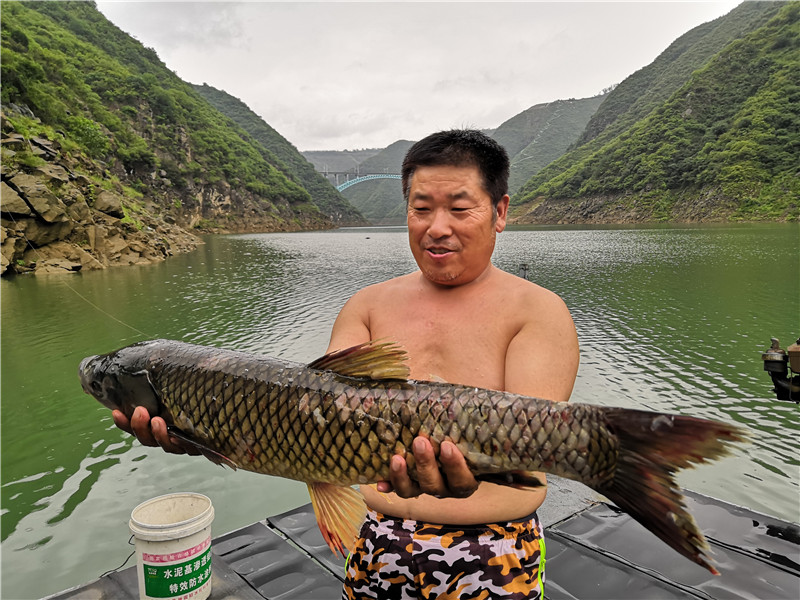 左手大鲤右手大翘我的鱼获超给力