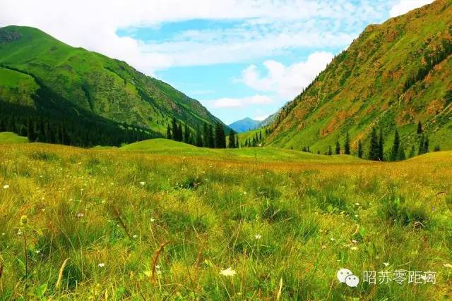 笔尖思路抒怀昭苏丨优秀作品展《夏塔怀想》