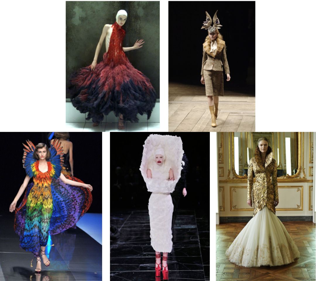 轻盈的羽毛飘落,轻盈柔软的羽毛