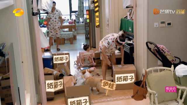 工作日明星夫妻档，红红火火幸福撒狗粮