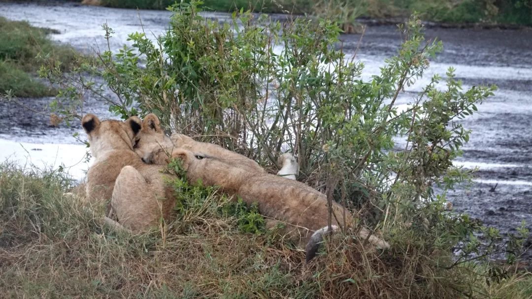 鍧︽灏间簹涓庡ぇ鑷劧,鍧︽灏间簹鑷劧椋庡厜鐪熺編