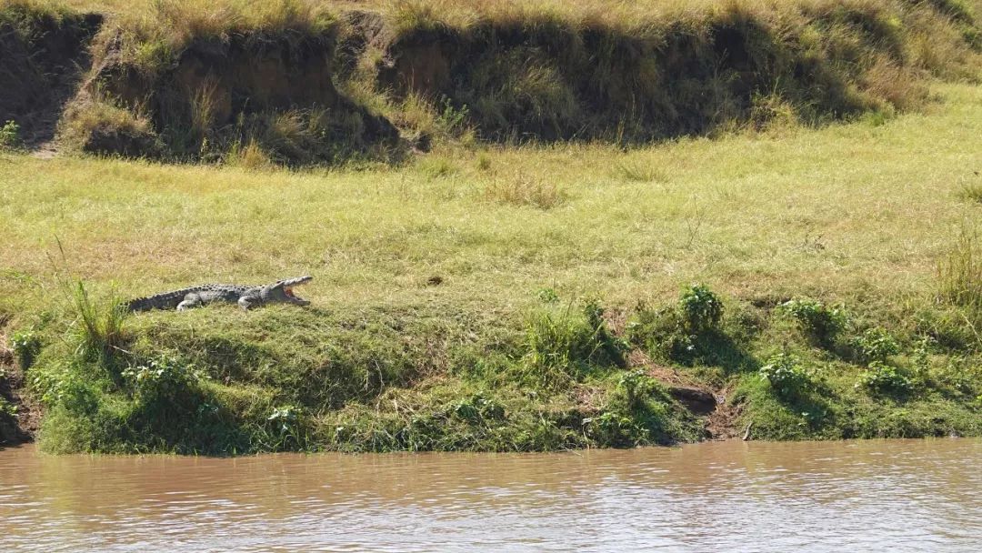 鍧︽灏间簹涓庡ぇ鑷劧,鍧︽灏间簹鑷劧椋庡厜鐪熺編