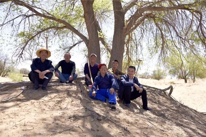 点赞甘肃11个集体获国家级表彰,致敬最美奋斗者甘肃