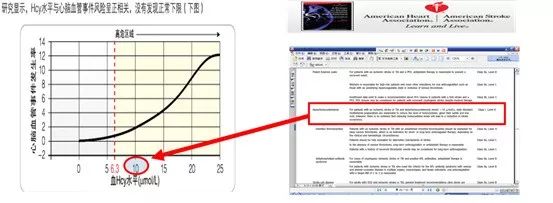 同型半胱氨酸健康科普涨知识,同型半胱氨酸怎样判断超标