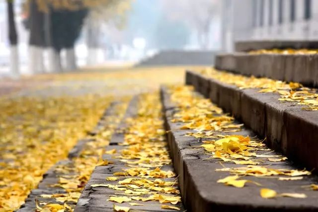 Weneedyou！如果你有梦想，一定要来东北大学校园传媒联盟