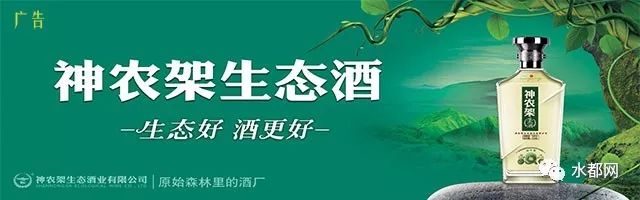 十堰武术冠军,湖北省青少年武术锦标赛十堰