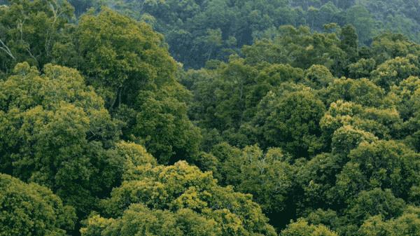 冬季干燥持久补水喷雾300ml保湿,补水喷雾巨补水秋冬