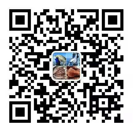 渔家女揭露海鲜市场黑幕,渔家女直播回放