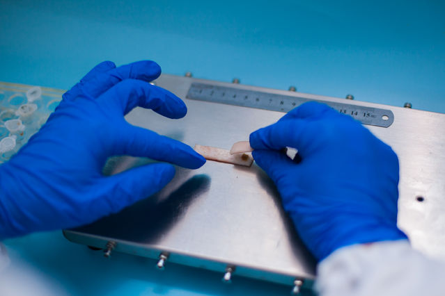 伤口愈合胶水,神奇胶水