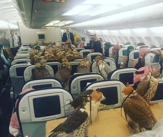 中国和迪拜谁有钱,迪拜沙特哪个有钱