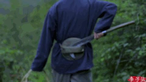 中国最美李子柒,最美村姑李子柒