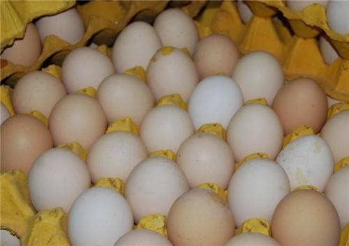 怎么才能避免买到假鸡蛋,假鸡蛋的做法对身体有没有伤害