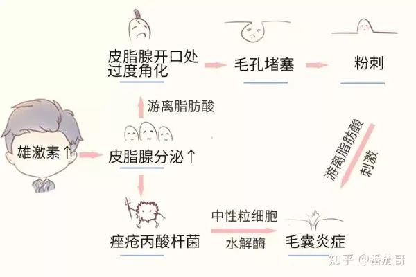 长痘了能吃凉的吗,长痘能吃青提吗