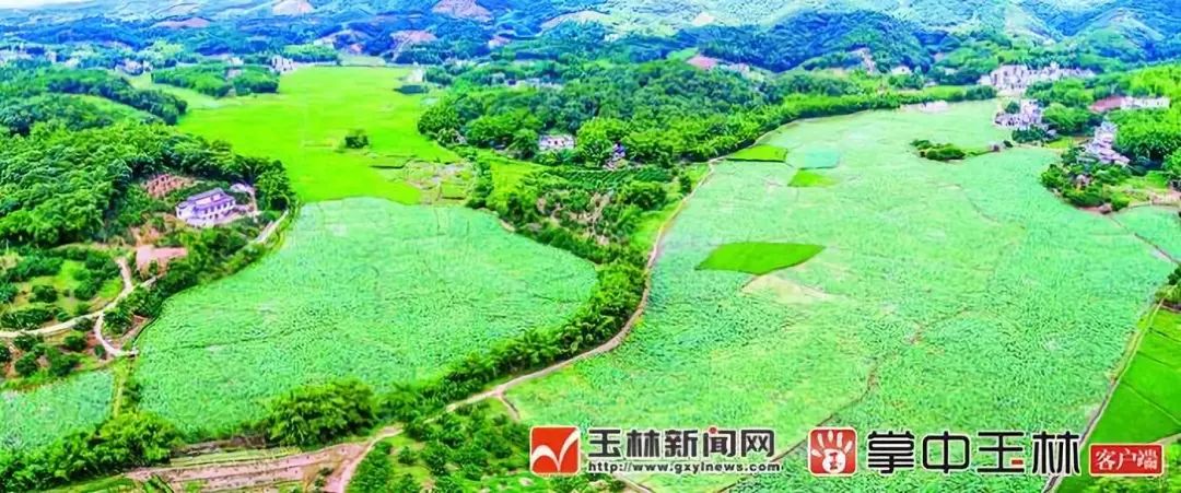 壮丽70年视频,壮丽七十年图片