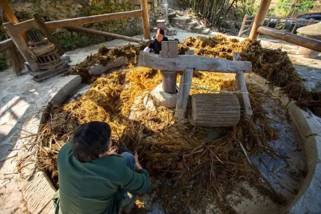 周末陪家人游大自然,周末陪家人到郊外游玩