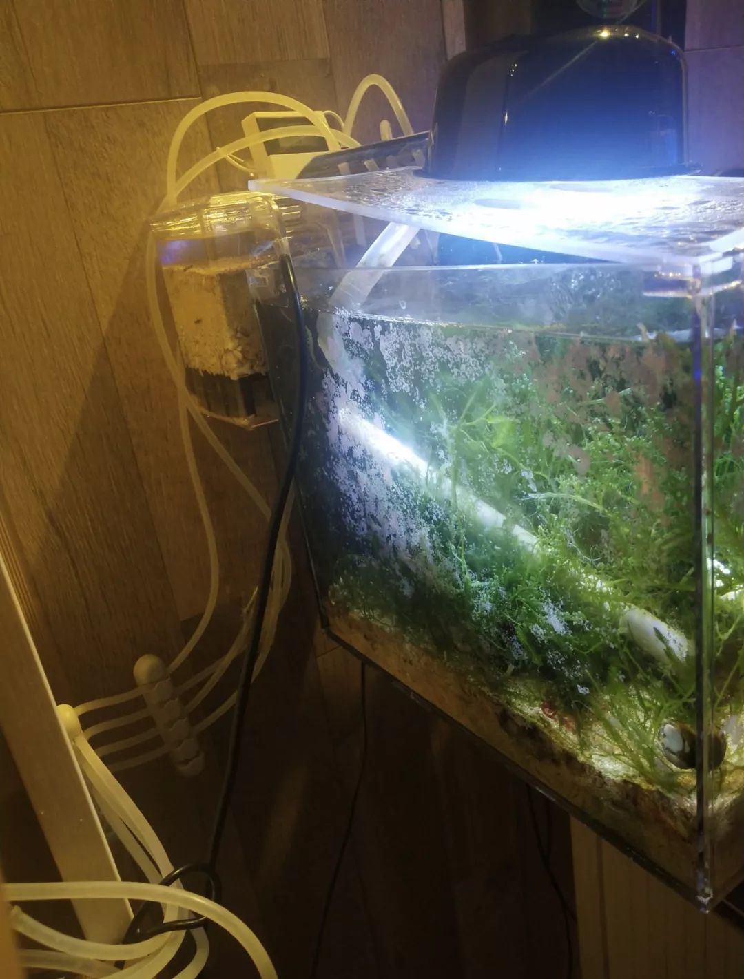 40小缸全套,40的方缸用多大的过滤桶