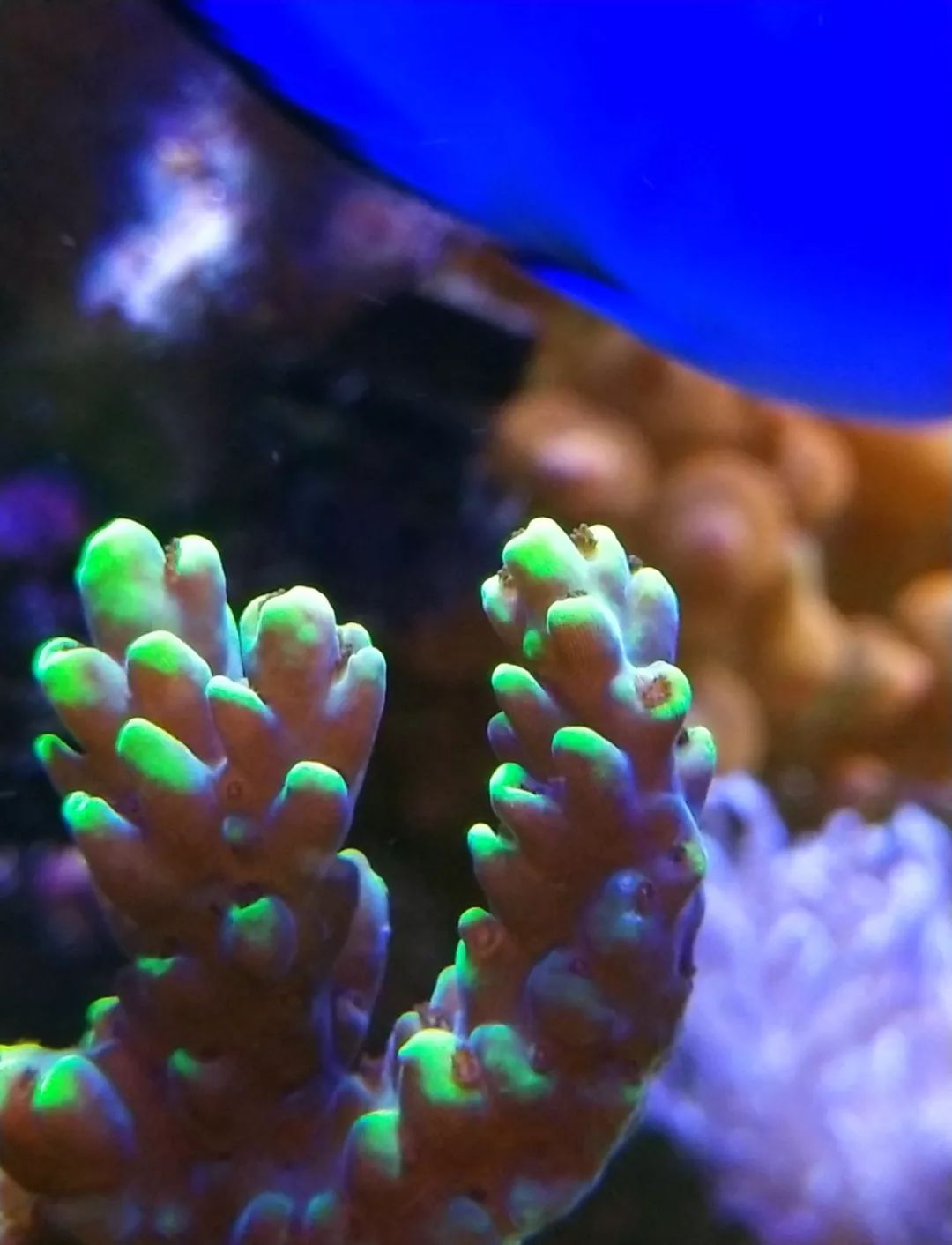 40小缸全套,40的方缸用多大的过滤桶