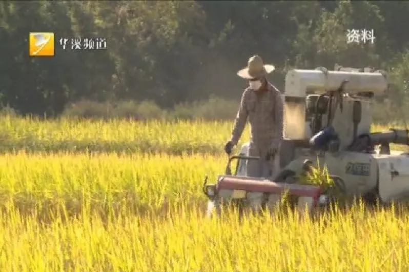 身边永康人：祖祖辈辈扎根做农民——李维哲