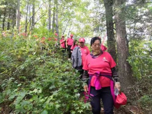 涓滃寳鎶楄仈鑻遍泟涔嬭矾,鎶楄仈璧拌繃鐨勮矾