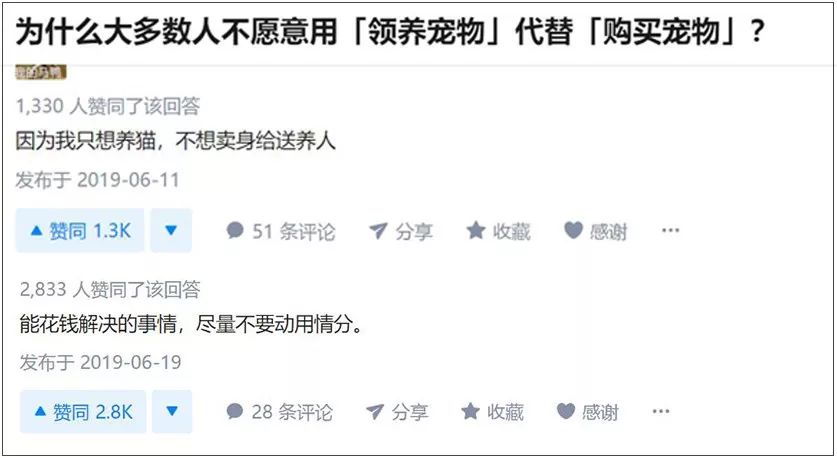 国内外宠物领养问题有哪些,很好的宠物为什么免费领养