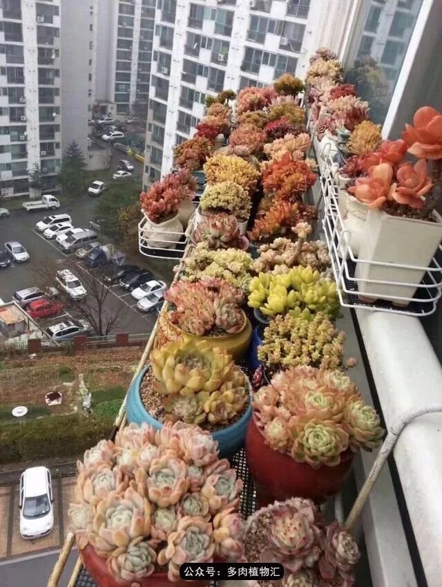 阳台如何让它变得很漂亮,怎么让阳台能种更多花