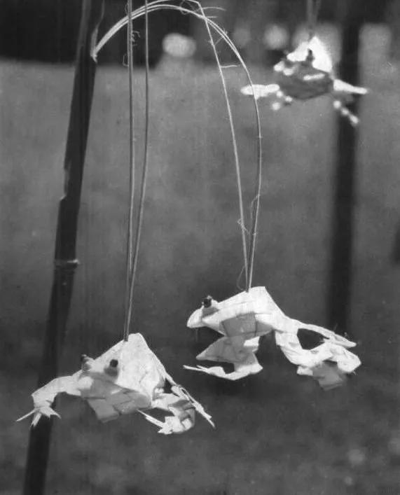 成都70年代简介,成都70年代的生活