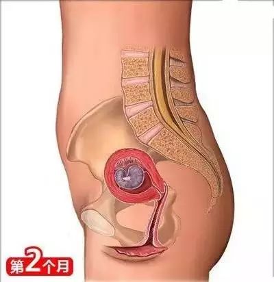 怀孕必备的100个知识,育儿知识怀孕40周注意事项