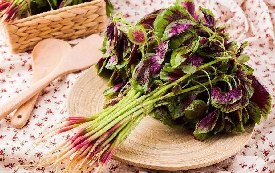 秋分中国农民丰收节对孩子的寄语,农历秋分日为中国农民丰收节