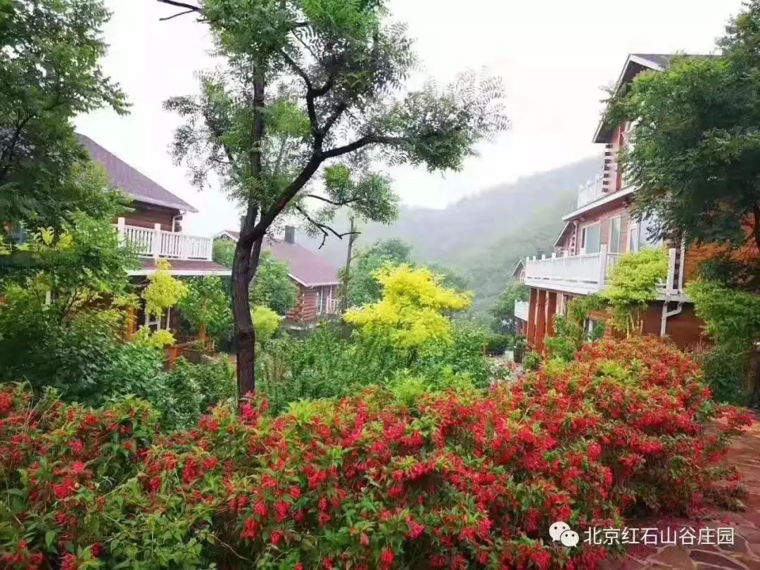 北京安定医院心理辅导,安定医院孤独症挂哪个科