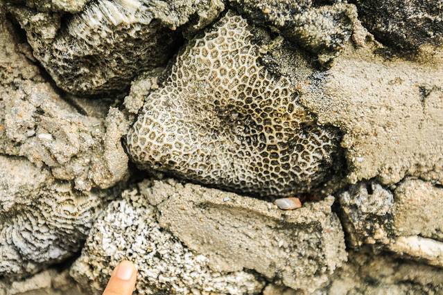 三亚3天旅游攻略带娃最佳自由行,三亚亲子游5天4晚攻略