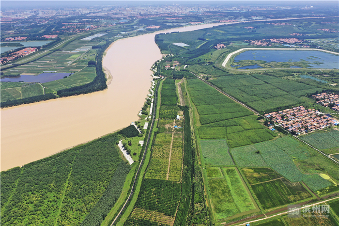 飞越滨州高新区：改革先行区厚植沿黄“城市之肺”