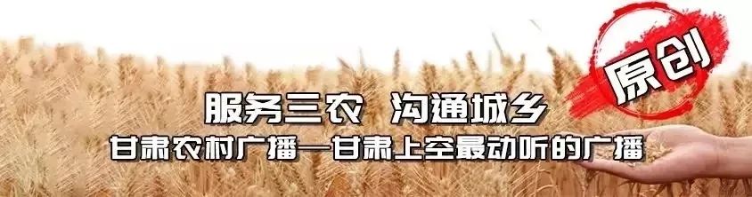 伪装者明台刺杀日本高官,伪装者中计杀明楼