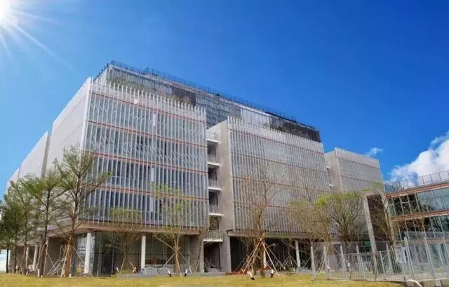 广东省国际学校排名一览表最新,广东国际学校最新排名