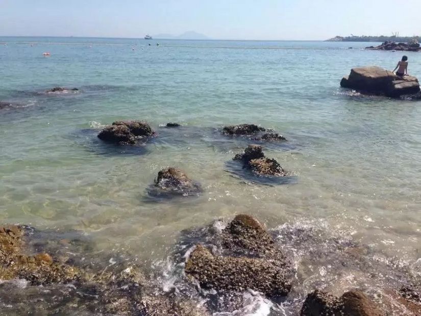 为了泳滩，遇上稔子和山日