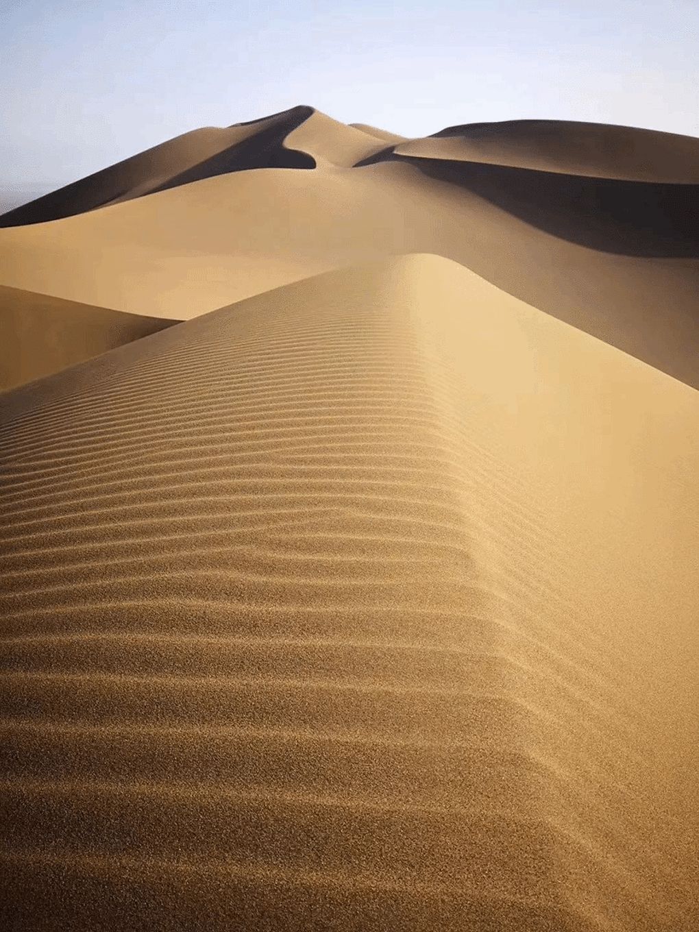 选好出行路线,选日期出行