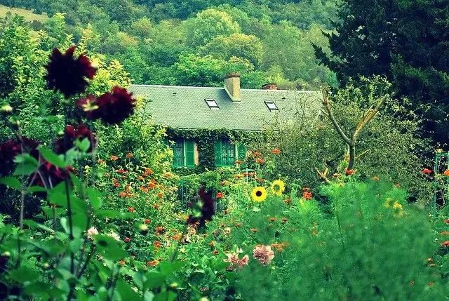 “十一”回家，我们带你回艺术家的家丨藏拍周有娱