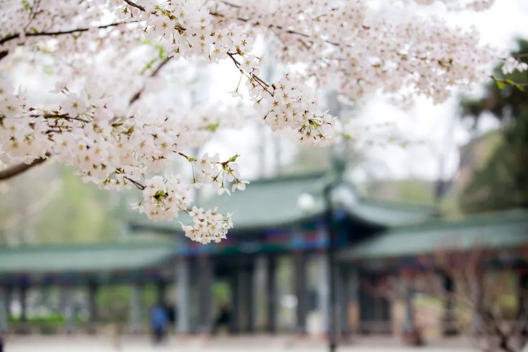 中国人民大学新消息,中国人民大学消息