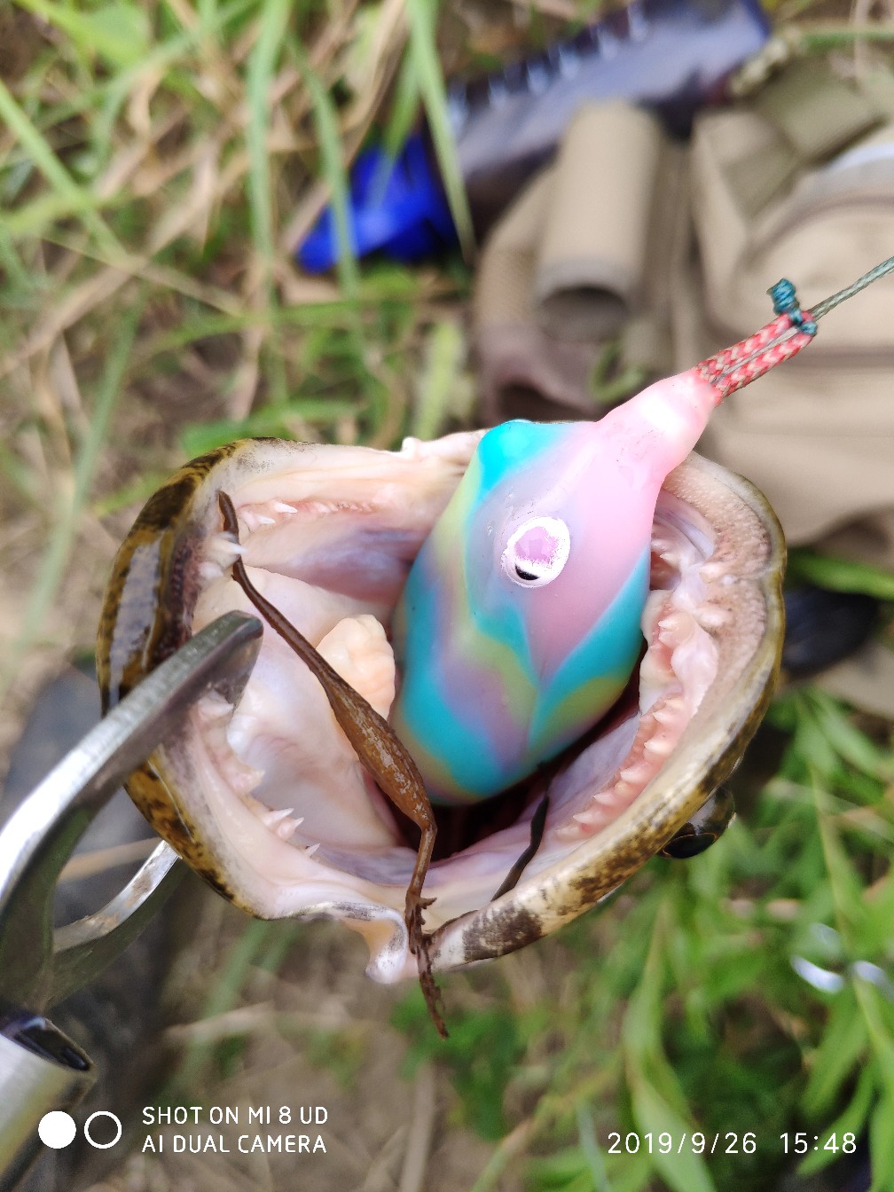 提高路亚中鱼率,打黑用什么假饵中鱼率高