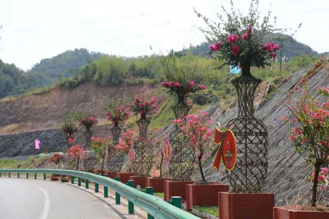 花漾宜昌如此美丽！44万盆鲜花全城绽放