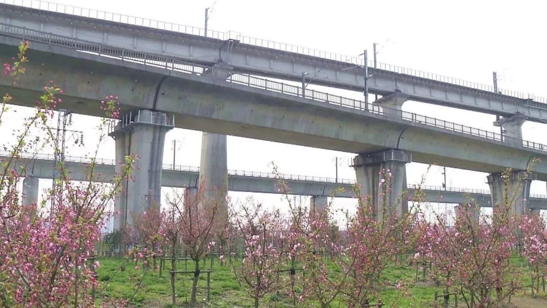 年内建成赵巷公园、翔江公园等5座公园,实现“百个公园”目标!“美丽嘉定”愈发精秀怡人