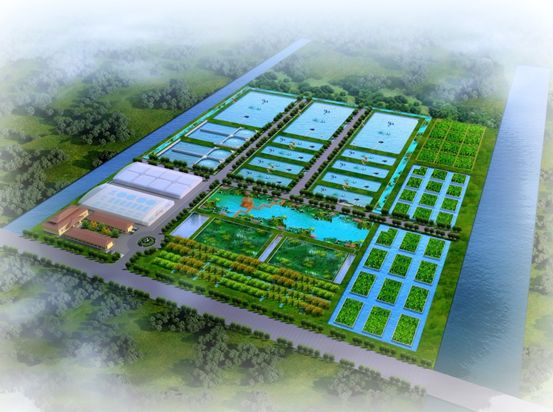 水产科普淡水养殖怎么搞更有前景,淡水海化养殖前景如何