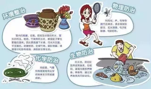 预防登革热清除蚊虫宣传知识,防止登革热关键是消灭蚊子对吗