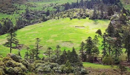 朝发夕至的列车,长沙到丽江飞机航线