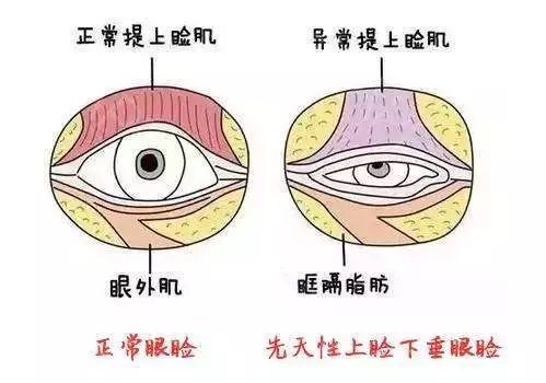 这些表现巨伤娃的眼!你却不知道?