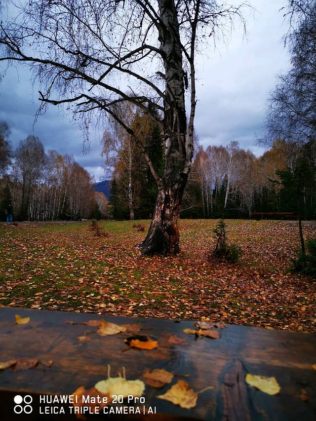 走过了圣城拉萨，这次让我们出使西域——*疆新**，一个来了之后会上瘾的地方