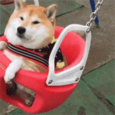 成都有几座专业足球场,成都有哪些免费足球场