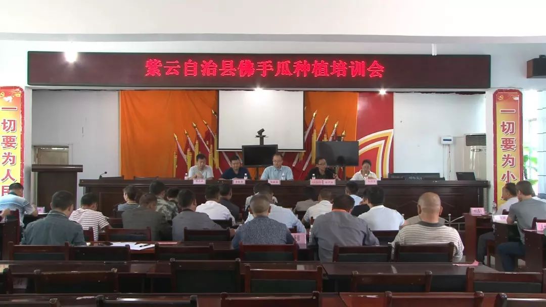 沙田镇佛手瓜种植,佛手瓜种植基地