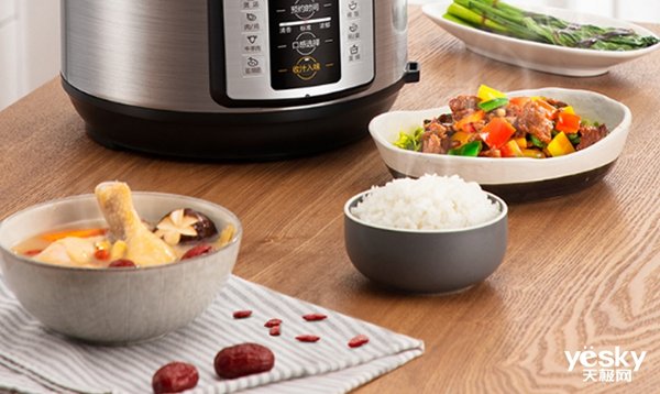 压力锅测评,电压力锅质量排名前十名科普